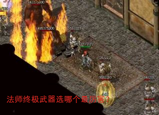 ʦռѡĸ