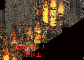 һ洫棬ָο