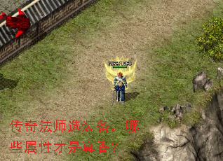 淨ʦѡװЩԲ㣿