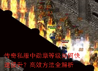˽ѫµȼοЧȫ