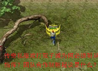 ˽˫ӳΪαָӣŶӺʤؾʲô