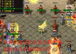 ˽ɱȫBOSS