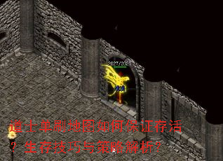 ʿˢͼα֤漼Խ