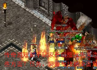 ϷӦȹעЩ棿װ뼼ȫ