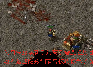 ˽ֵҪЩ׶ΣЩϸ뼼㶼˽