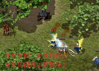 传奇SF新任务执行技巧与常见问题如何解决? 传奇SF新任务执行技巧与常见问题如何解决?