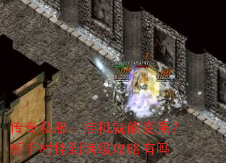 传奇私服:挂机就能变强?新手村挂到满级攻略有吗 传奇私服:挂机就能变强?新手村挂到满级攻略有吗