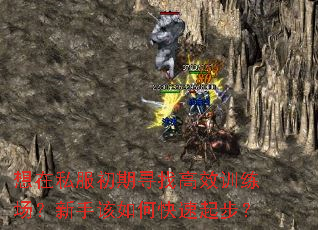 想在私服初期寻找高效训练场?新手该如何快速起步? 想在私服初期寻找高效训练场?新手该如何快速起步?