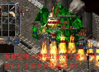 想在私服初期寻找高效训练场?新手该如何快速起步? 想在私服初期寻找高效训练场?新手该如何快速起步?