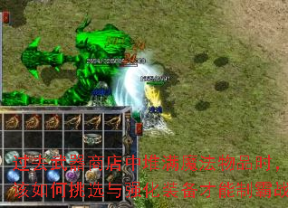 过去武器商店中堆满魔法物品时,冒险者该如何挑选与强化装备才能制霸战场? 过去武器商店中堆满魔法物品时,冒险者该如何挑选与强化装备才能制霸战场?