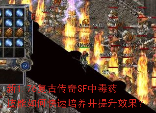 新1.76复古传奇SF中毒药技能如何快速培养并提升效果? 新1.76复古传奇SF中毒药技能如何快速培养并提升效果?