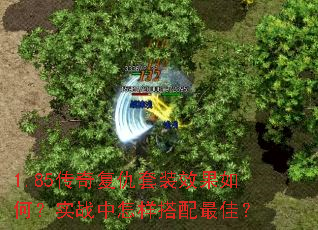 1.85传奇复仇套装效果如何?实战中怎样搭配最佳? 1.85传奇复仇套装效果如何?实战中怎样搭配最佳?