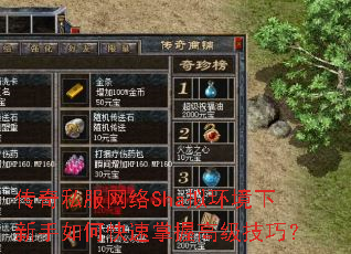 传奇私服网络Sha拟环境下新手如何快速掌握高级技巧? 传奇私服网络Sha拟环境下新手如何快速掌握高级技巧?