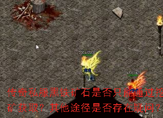 传奇私服黑铁矿石是否只能通过挖矿获取?其他途径是否存在疑问? 传奇私服黑铁矿石是否只能通过挖矿获取?其他途径是否存在疑问?