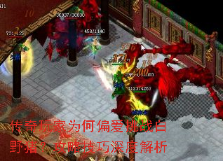 传奇玩家为何偏爱挑战白野猪?攻略技巧深度解析 传奇玩家为何偏爱挑战白野猪?攻略技巧深度解析