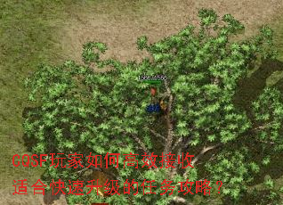 CQSF玩家如何高效接收适合快速升级的任务攻略? CQSF玩家如何高效接收适合快速升级的任务攻略?