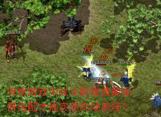 ϷսʿȺδʵָЧˢ֣