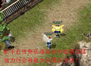 新手在传奇私服网站中如何选择强力行会并最大化团队优势? 新手在传奇私服网站中如何选择强力行会并最大化团队优势?