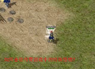 如何击败传奇游戏中的特殊怪物? 如何击败传奇游戏中的特殊怪物?