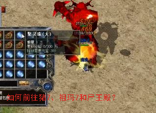 如何前往猪7、祖玛7和尸王殿? 如何前往猪7、祖玛7和尸王殿?