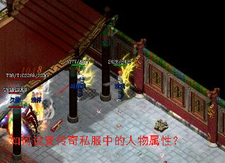 如何设置传奇私服中的人物属性? 如何设置传奇私服中的人物属性?
