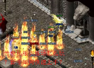 传奇私服训练场怎么玩?新手如何快速上手? 传奇私服训练场怎么玩?新手如何快速上手?