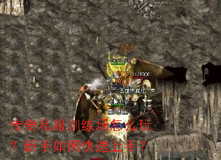 传奇私服训练场怎么玩?新手如何快速上手? 传奇私服训练场怎么玩?新手如何快速上手?