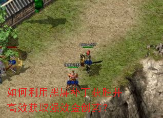 如何利用黑屏补丁获胜并高效获取强效金创药? 如何利用黑屏补丁获胜并高效获取强效金创药?