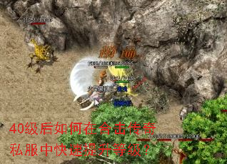 40ںϻ˽пȼ