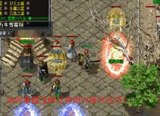 如何掌握法师元神的PK操作技巧? 如何掌握法师元神的PK操作技巧?