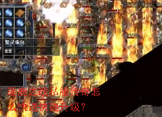 逐鹿之战私服传奇怎么快速快速升级? 逐鹿之战私服传奇怎么快速快速升级?