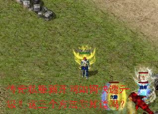 传奇私服新开网如何快速升级?这三个方法你知道吗? 传奇私服新开网如何快速升级?这三个方法你知道吗?