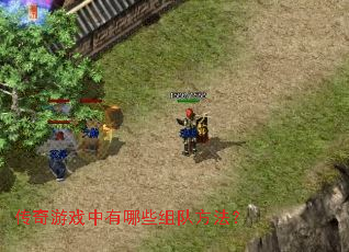 传奇游戏中有哪些组队方法? 传奇游戏中有哪些组队方法?