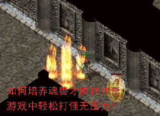 如何培养魂兽才能在传奇游戏中轻松打怪无压力? 如何培养魂兽才能在传奇游戏中轻松打怪无压力?