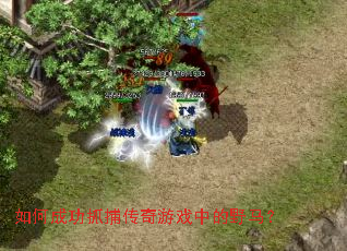 如何成功抓捕传奇游戏中的野马? 如何成功抓捕传奇游戏中的野马?