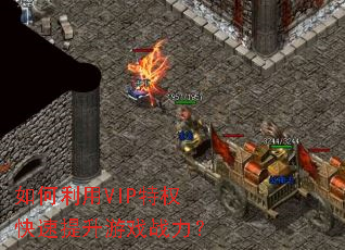 如何利用VIP特权快速提升游戏战力? 如何利用VIP特权快速提升游戏战力?