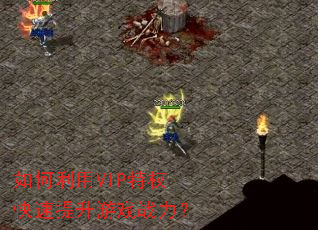 如何利用VIP特权快速提升游戏战力? 如何利用VIP特权快速提升游戏战力?