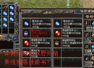 如何高效刷取野外精英怪掉落技能书? 如何高效刷取野外精英怪掉落技能书?