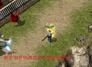 ������ο�������������Ϸ�ȼ���