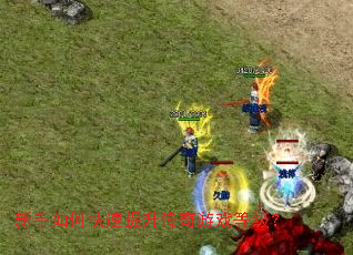 ������ο�������������Ϸ�ȼ���