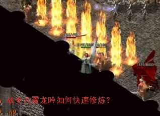 սʿ����������ο���������