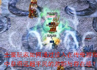 ����������ͨ��Ͷ���ڴ�����Ϸ�л��Զ��ƽ��Ĳ������ڸУ�