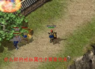 ʲô���Ľ�ָ���Բ���������