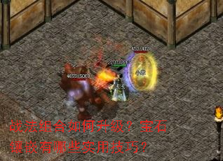 ս����������������ʯ��Ƕ����Щʵ�ü��ɣ�