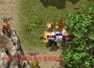 ��ο�����˽���а���ƶ�