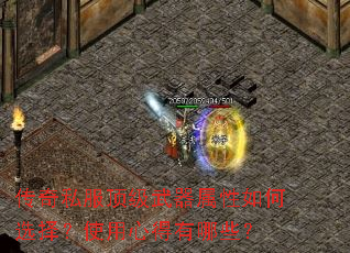 ����˽�����������������ѡ��ʹ���ĵ�����Щ��