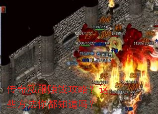 ����˽��׬Ǯ���ԣ���Щ�����㶼֪����