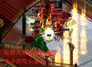 ��θ�Ч������Ѫ�����е�˫ͷ��գ�