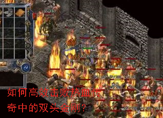 ��θ�Ч������Ѫ�����е�˫ͷ��գ�