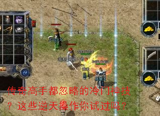 ������ֶ����Ե������񼼣���Щ����������Թ���